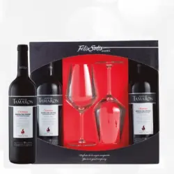 Estuche 2 Bot. Altos De Tamaron Tinto 2020