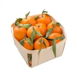 Mandarinas   X 1.5 kg