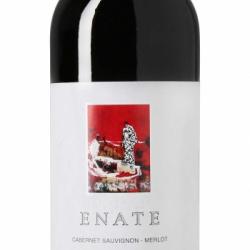 Enate Tinto 2019