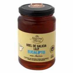 Miel de Galicia con eucalipto De Nuestra Tierra 500 g.