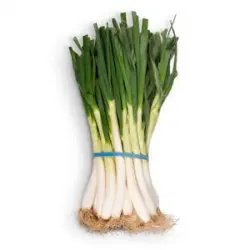 Calçots Manojo 25 ud