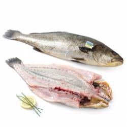 Corvina Círculo de Calidad 2 kg aprox