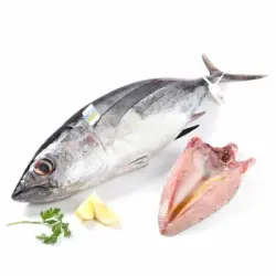 Ventresca de bonito Calidad y Origen Carrefour 500 g aprox