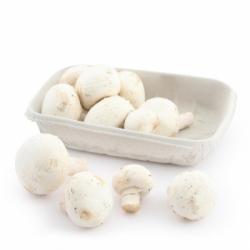Champiñon ecológico Carrefour 300 g aprox