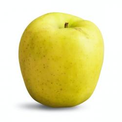 Manzana golden Pieza 0.22 kg