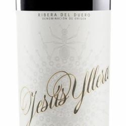 Jesus Yllera Tinto 2016