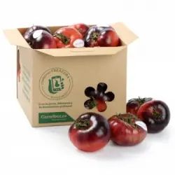 Tomate azul a granel 500 g aprox