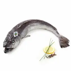 Merluza de pincho Círculo de Calidad 1,8 kg aprox