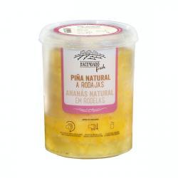 Piña natural en rodajas Bote 0.5 kg