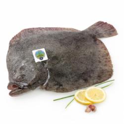 Rodaballo Círculo de calidad 2 kg aprox