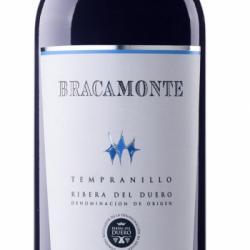 Bracamonte Tinto 2018