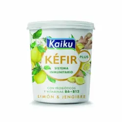 Kéfir plus jengibre y limón Kaiku sin gluten 350 g.