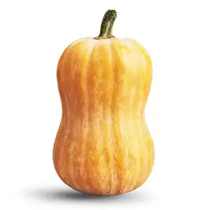 Calabaza cacahuete Pieza 1.38 kg