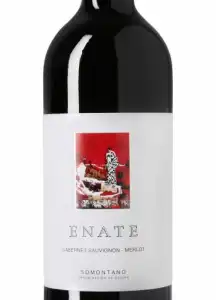 Enate Tinto 2019