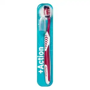 Cepillo dental Medio Deliplus + Action Paquete 1 ud