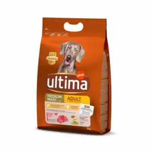 Pienso de buey para adulto Medium Maxi Ultima Dog 3 Kg.