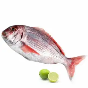 Pargo 1 ud de 1 kg aprox