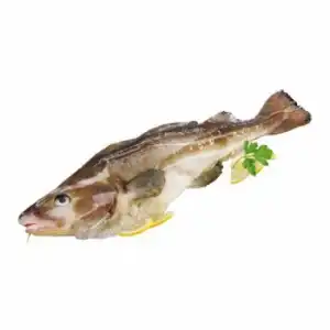 Bacalao entero 1 kg aprox