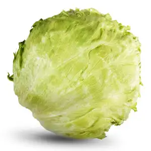 Lechuga Iceberg Pieza 1 ud