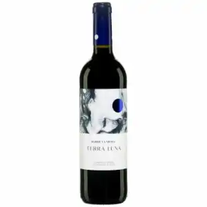 Vino tinto envejecido de roble Terra Luna D.O. Campo de Borja 75 cl.