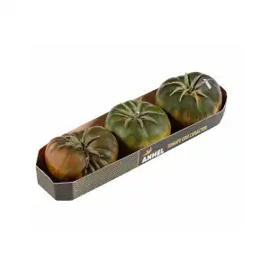Tomates Anhel X 0.4 kg