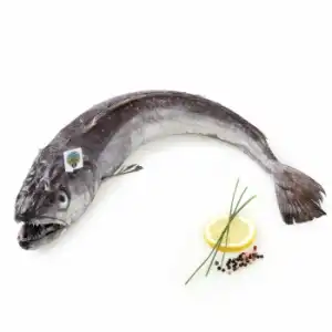 Merluza de pincho Círculo de Calidad 1,8 kg aprox