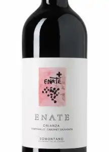 Enate Tinto Crianza 2018