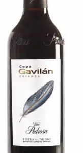 Cepa Gavilan Tinto Crianza 2020