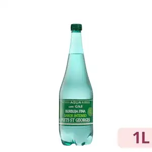 Agua mineral con gas grande Saint George sabor intenso
