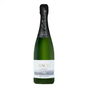 Cava brut nature Bach Extrísimo Botella 750 ml