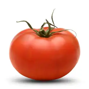 Tomate ensalada Pieza 0.24 kg