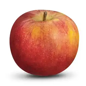 Manzana Envy Pieza 0.26 kg