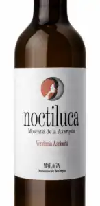 Noctiluca Blanco 2020